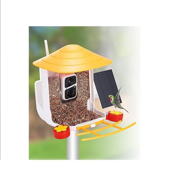 Solar Powered Bird Feeder Camera for Outdoor Use
