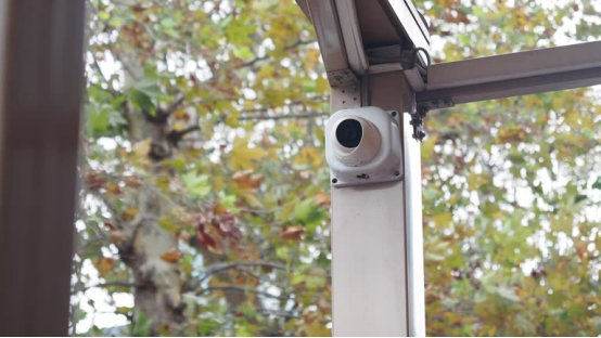 This mounted camera is the core of an AI bird feeder camera—its smart functions stem from expert training.