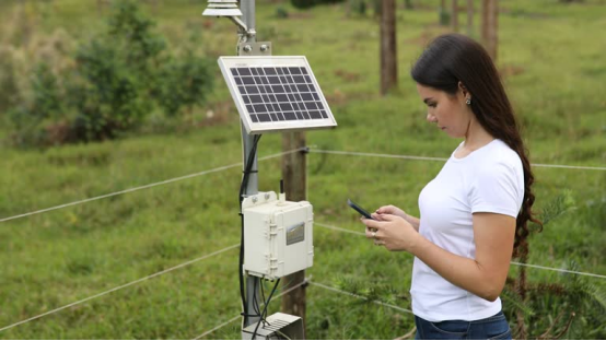This solar-powered setup (paired with a phone) helps keep the bird feeder camera running even in freezing winter temps.