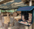 This bird feeder camera (fitted with a solar panel) needs solar panel maintenance to perform at its best—cleaning keeps it running optimally.