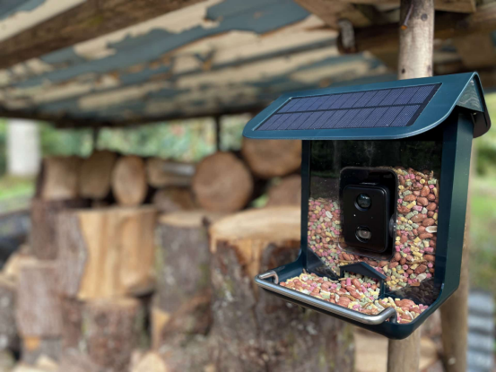 This bird feeder camera (fitted with a solar panel) needs solar panel maintenance to perform at its best—cleaning keeps it running optimally.