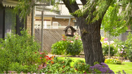 The bird feeder placed in this garden setting is the location where an AI bird feeder camera can capture its most likely feathered visitors.
