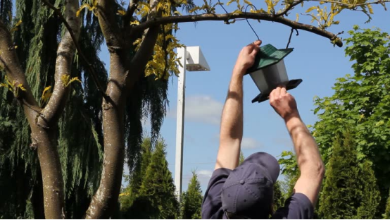 A person is hanging a solar bird feeder camera from a tree branch, setting it up to rely on sunlight for its power supply.