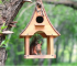 This squirrel in the feeder prompts the bird feeder camera’s AI deterrent mode to stop them for good.