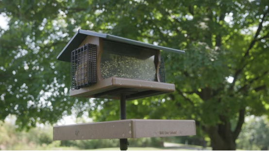 This dual-chamber bird feeder camera’s design is rooted in fostering backyard biodiversity.